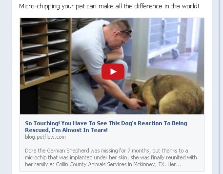 Micro-chipping your pet can make all the difference in the world!